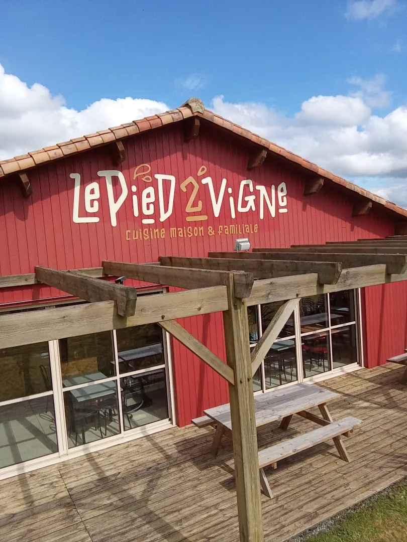 Le Pied 2 Vigne